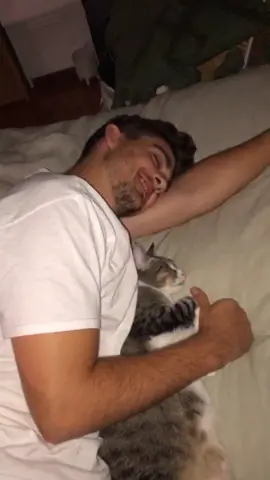 Fiona stole my boyfriend :( #cats #cat #tiktokcats #boyfriend #fyp