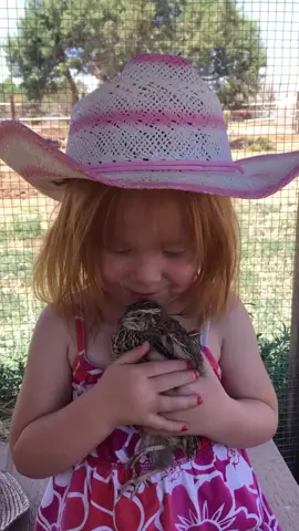 #ranchlife  #countrygirl #quail #animal_lover