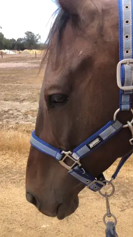 Barbie loves her Houdini 🤣