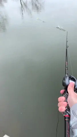 Futuristic reel skipping with no birdsnest. This was tough to do 1 handed😂 #fishing #country #countryboy #sosatisfying #shimanofishing #skipping