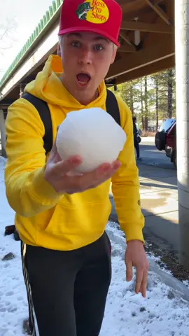 I flew my snowball 7,000 miles to do this...😳 @nickibaber