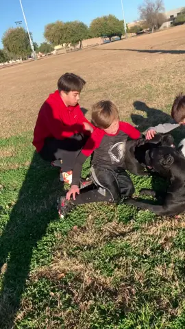 #familydogs #family #beautiful #happy #kids #social #lov