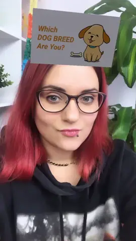 Fajny ze mnie mops? 😂 jaką rasą psa chcielibyście zostać? 🐶 #jakimzwierzęciem #dogs #wholetsthedogsout