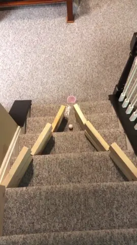 If I see one person say “did you say yesgo” I’m gonna lose my mind 🙄 #foryou #foryoupage #xyzbca #pingpong #pong #ThisIsQuitting #MakeTheLeap #viral