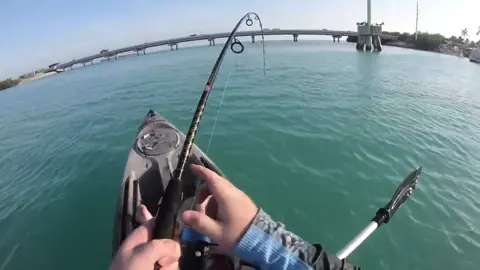 Florida keys #fyp #fy #foru #foryou #foryoupage #fishing #fish
