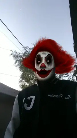 #payaso perro chillón