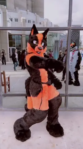 Did I learn skills at #tff or is it an imposter? Can you guess? #furry #fursuitdance #fursuiter #furryfandom2020 #dance #furryfandom
