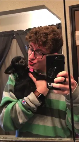 This is a old fail 😂❤️ #foryou #foryoupage #feature #featureme #pets #dogs #favoritefit #rosa