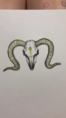 lil sketch