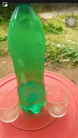 men tầu ủ với gạo ta