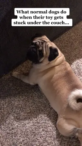 😳