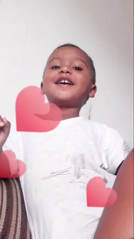 todo charmoso 🥰