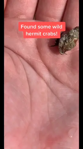 Tb to Winter Break #vacation #Summer #philippines #shykids #diyproject