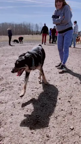 Dog park part 1 #fyp