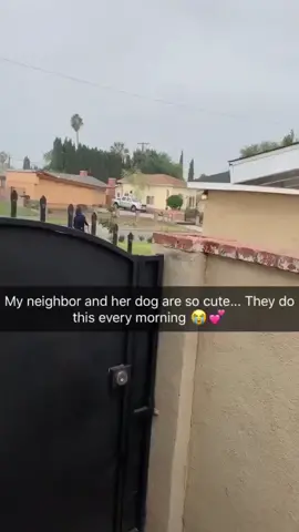 my neighbor holds her dog’s hand every morning while she waters her plants and it melts my heart 😩 (ig brittneyav123) #fyp #foryou