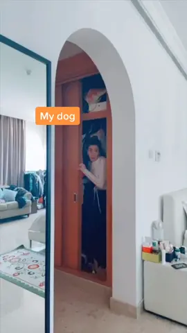 #Cat & #Owner convo featuring #dog #viral #explore #4u #4upage #fyp #foryou #foryoupage #makethisviral #follow