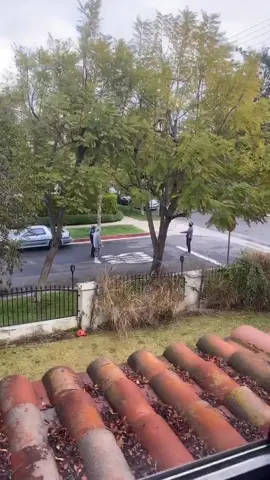 I’ve spotted a pack of TikTokers in the wild 😂- Part 1!  #fyp #foryoupage (@chazfisher @tosha__ptp @iammikeyfusco)