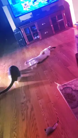 Always play time around here 🤣