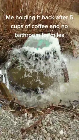 Me after 5 cups of coffee!