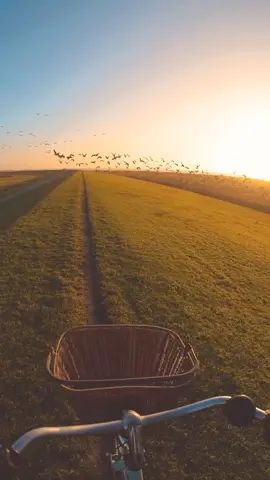 Schicke dies jemanden, mit dem du genauso wegfliegen möchtest!! 🌏 #foryou #nordsee #fyp