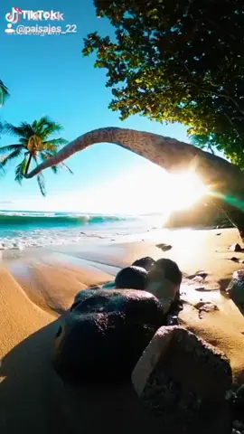 Ponlo en fondo de pantalla #fondoanimado #fouryou #parati #fondodepantalla #ola #mar