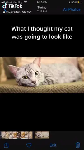 Love her with all my heart#ButterGlossPop #tiktokreviews #boredathome #MySkinandME