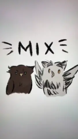 🖤+🤍 #haikyuu #bokuaka #akaashi #akaashikeiji #bokuto #bokutokoutarou #fukurodani #mix #fyp