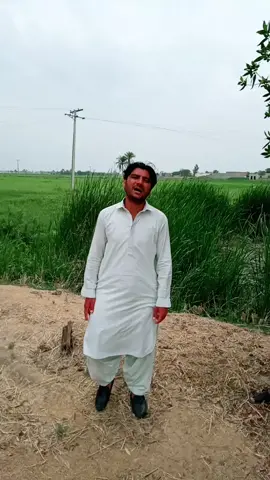 koi muje batun me#viral #foryou #foreyoupage #1millionaudition #teamjcd111 #100k #goviral #peechywala420 #sindhwale