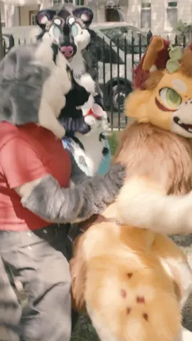 A dog park for furries #puppycheck #minimocks