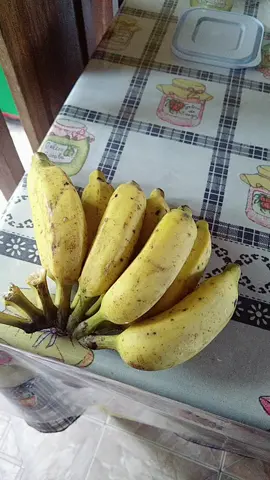 #lanchechallenge #bariatrica #Fitness #vidasaudavel #bananachallenge #gelatina #quarentine #quarentine #docecomoavida