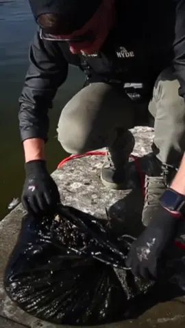 Finding sketchy stuff with Steveo in LA #magnetfishing