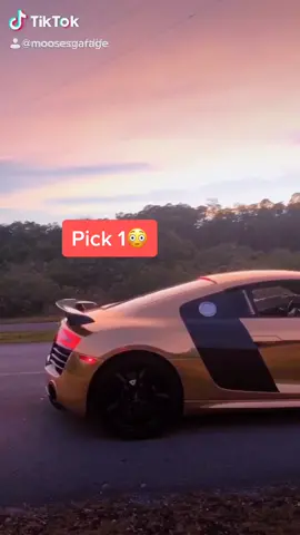 Which Would You Drive?🤔 #earthhour #moosesgarage #carsoftiktok #cars #exoticcars #moosecraft #fyp #supercars #sunset #audir8 #gwagon #audi #mercedes