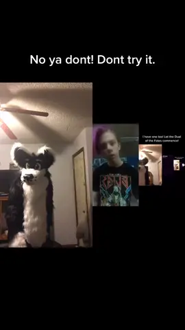 #duet with @i.am.cdub #fakesword #furry #fursuit #fursuitfriday #notgonnadie #joke