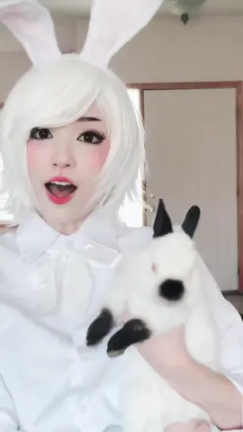 this cosplay is an appropriate excuse to show off my buns 🥺 #harucosplay#harubeastars#beastars#cosplay#bunnies#bunny#beastarscosplay