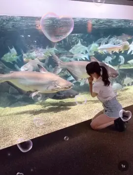 水族館で春夏の撮影💗　#彼女とデートなうで使っていいよ #おすすめ