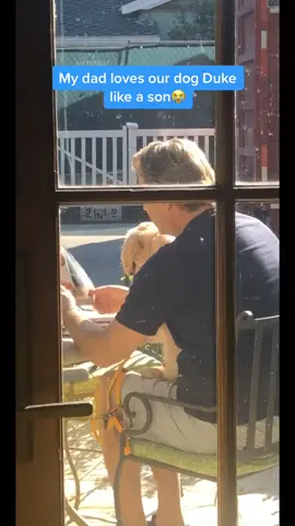 My dad and our dog Duke have the most special bond🤍 #tiktokdogs #dogsoftiktok #goldenretriever #foryou #goldenretrieverpuppy