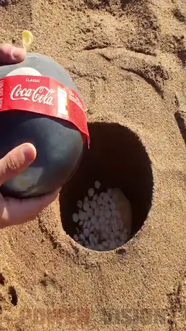 Coca Cola and Mentos Underground #cocacola #mentos #science #experiment