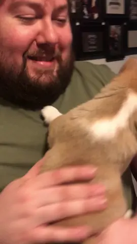 Puppy yawn!!! #foryoupage #corgilove #corgisoftiktok #reallifeathome