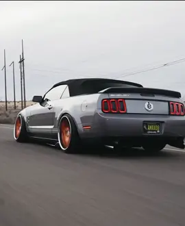 Bagged Shelby..... NUFF SAID🥵#foryou #foryoupage #fyp #4you #stance #stancecars #cars #carvideos #carvideo #mustang #shelby #quarantine