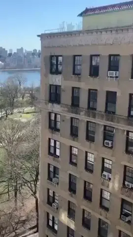 The scene in Brooklyn during quarantine is amazing 🔥😍 [via invisiblebully_/IG] #coronavirus #covid19 #quarantine #quarantinelife #reallifeathome