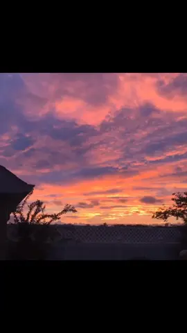 I tend to take a lot of pics of the sunset so here are some of my favorites 🥺 #foryoupage #sunset #quarantine #coronavirus