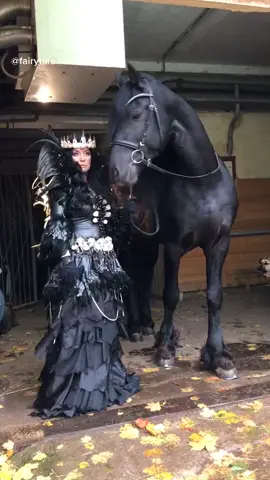 Фризскиц жеребец Вейрон и Александра ♠️ Backstage с фотосессии..   #fairytale_horse #fries #рингерсвейрон #фото #fries #horsegirl #photo