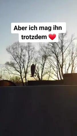 Teilt das Video mit euren ähnlich dummen Geschwistern. #couldntbemorerandom #fürdich #foryou #fy #fyp