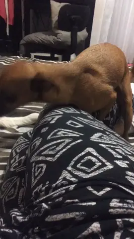 JAJAJAJA Perdón jajajajaja pero me causo mucha risa #parati #comedia