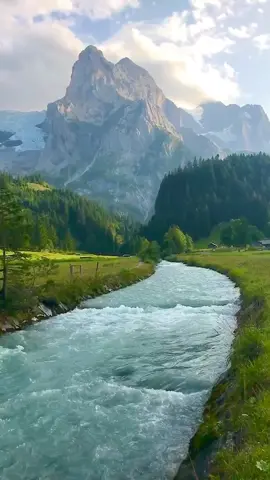 🔊 Sound on & Enjoy 🌳 #SennaRelax #Switzerland #nature #travel #relax #tiktoktravel #stayathome