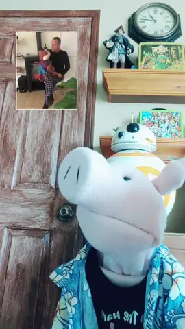 Sam The Ham #react to @davecoulier & #mrwoodchuck from #fullhouse . #Netflix #nickatnite