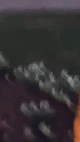 anyone else got allergies? #pollen #spring #allergies #fyp #foryou #foryoupage (also wanted to add some comedy to my sad/creepy shit lol)