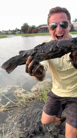 NOODLING got Mud Cats!!😱😸 #fish #fishing  #moreyouknow #catsoftiktok #handfishing #foryou #foryoupage #xyzcba #ryanizfishing