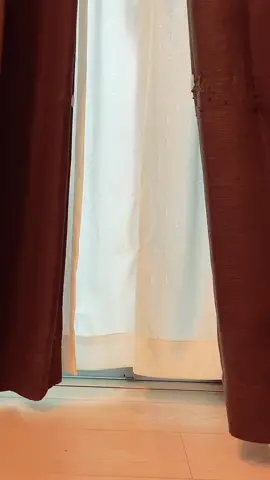 #therampage#ldh#exiletribe#ランペ#藤原樹#マース#catsoftiktok#socute#cat#fyp#foryoupage#foryou