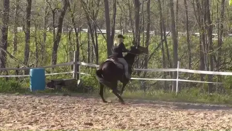 Where are you from?? 👇🏽 #fyp #foryoupage #horse #barrelracer